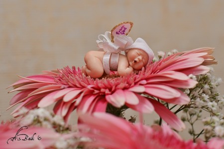 baby in bloem 1